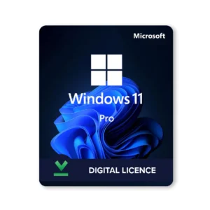 Windows 11 Professional Digital Licence